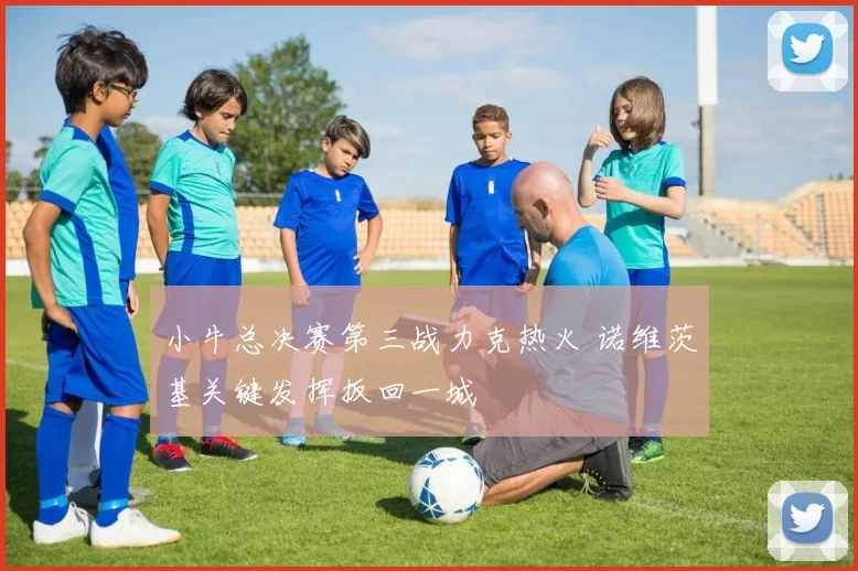 小牛总决赛第三战力克热火 诺维茨基关键发挥扳回一城