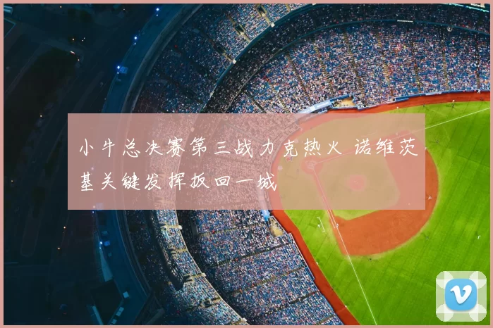 小牛总决赛第三战力克热火 诺维茨基关键发挥扳回一城