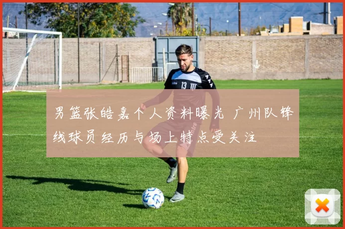 男篮张皓嘉个人资料曝光 广州队锋线球员经历与场上特点受关注