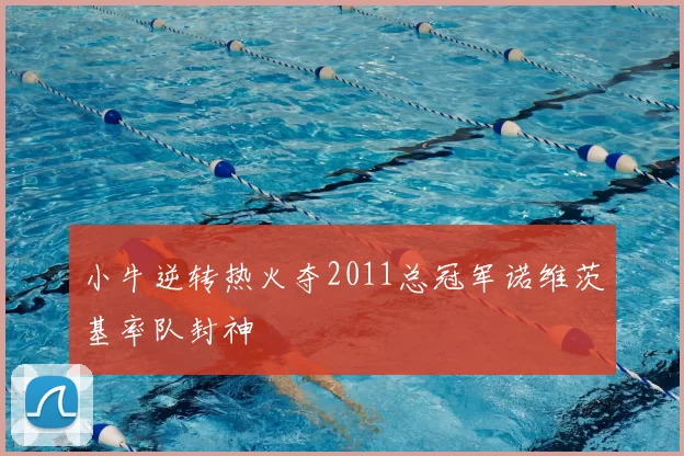 小牛逆转热火夺2011总冠军诺维茨基率队封神