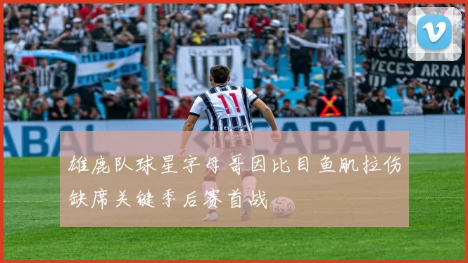 雄鹿队球星字母哥因比目鱼肌拉伤缺席关键季后赛首战