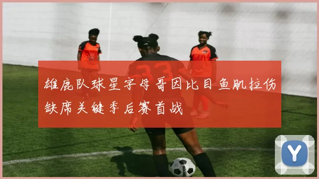 雄鹿队球星字母哥因比目鱼肌拉伤缺席关键季后赛首战