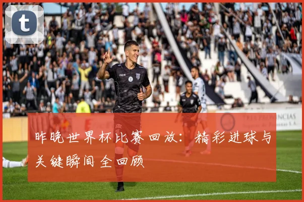 昨晚世界杯比赛回放：精彩进球与关键瞬间全回顾