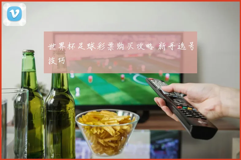 世界杯足球彩票购买攻略 新手选号技巧
