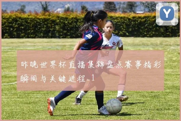 昨晚世界杯直播集锦盘点赛事精彩瞬间与关键进程_1